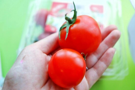 天然水トマトの大きさ
